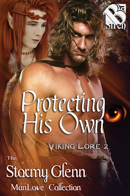 Viking Lore book cover 2