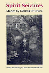 Spirit Seizures book cover