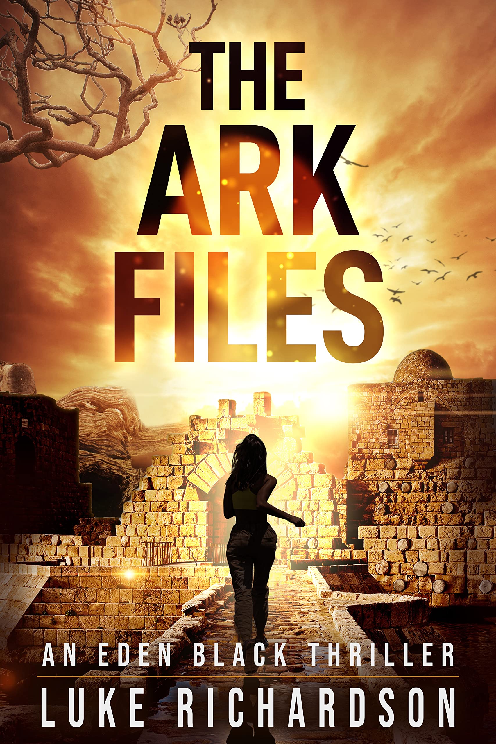 The Ark Files book cover