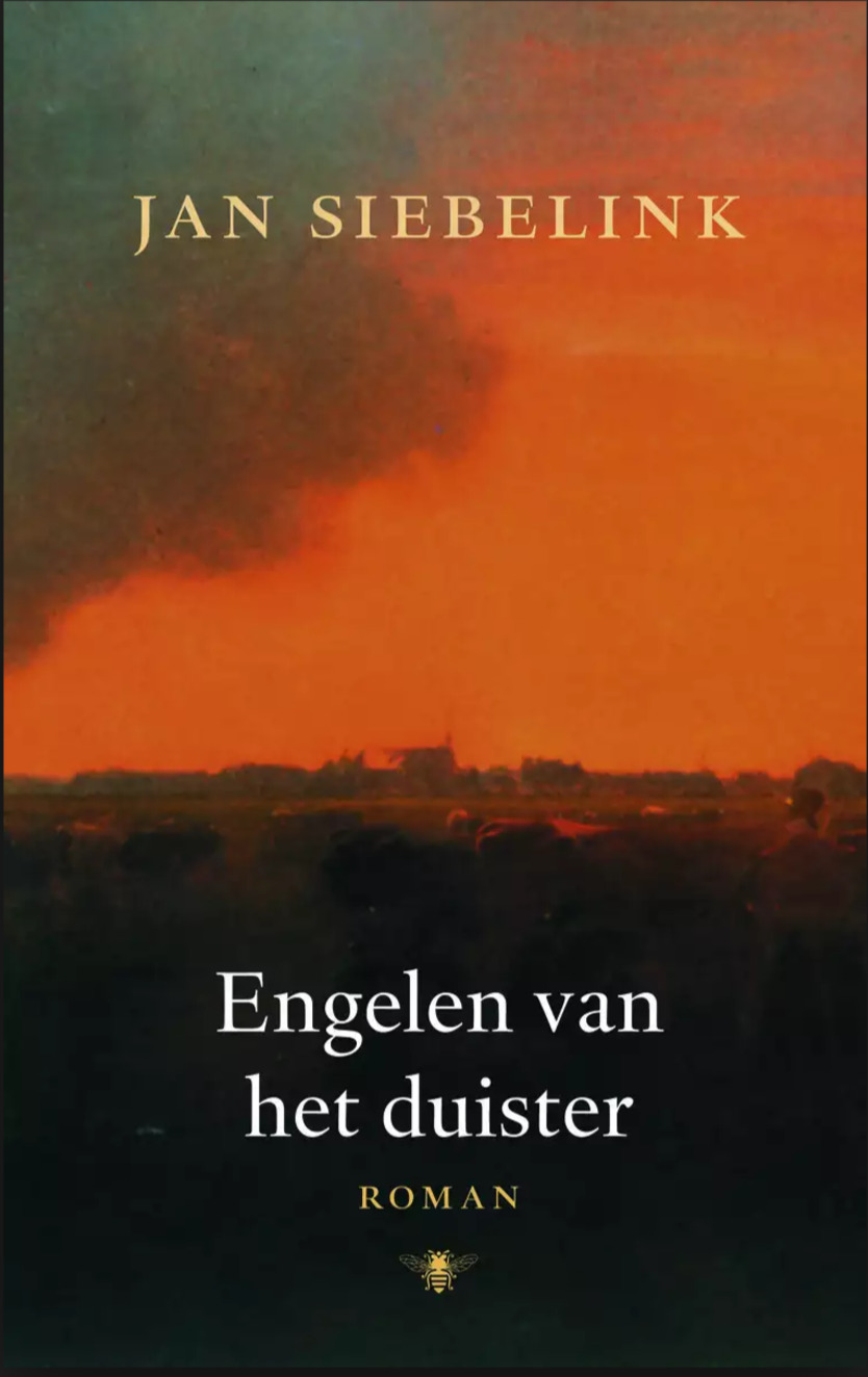 Engelen van het duister book cover