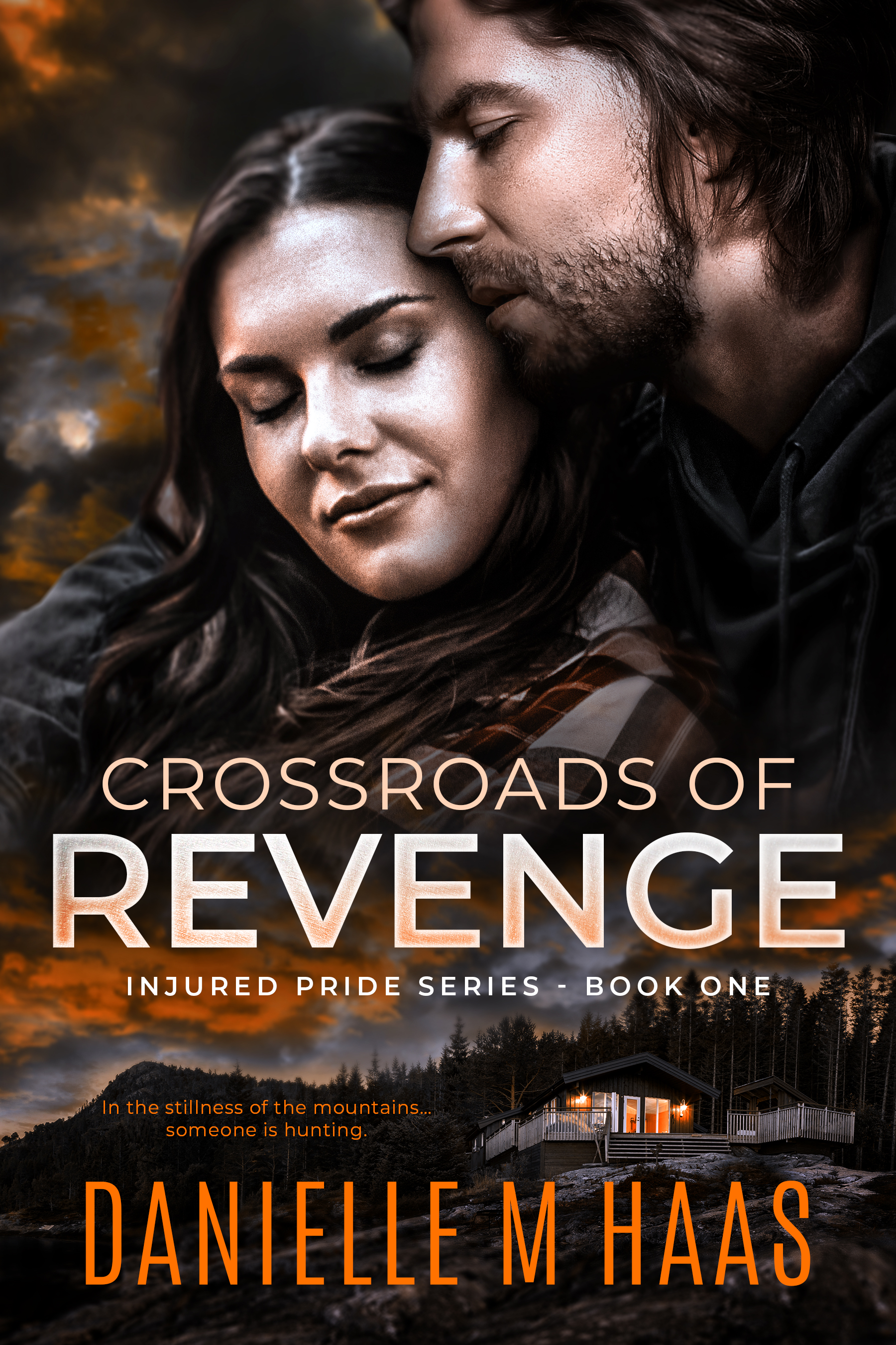 Injured Heroes book cover 1