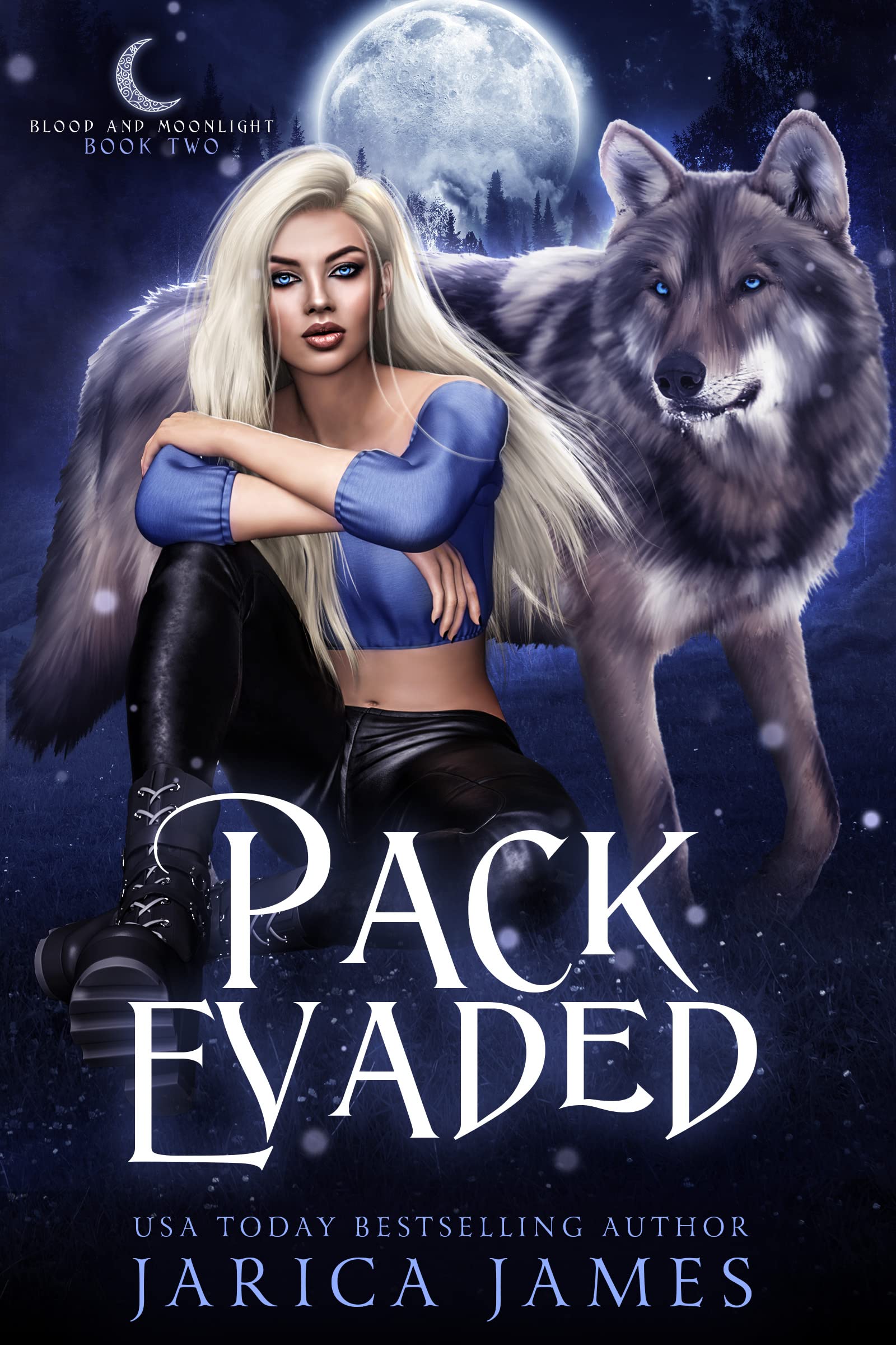 Blood and Moonlight book cover 1