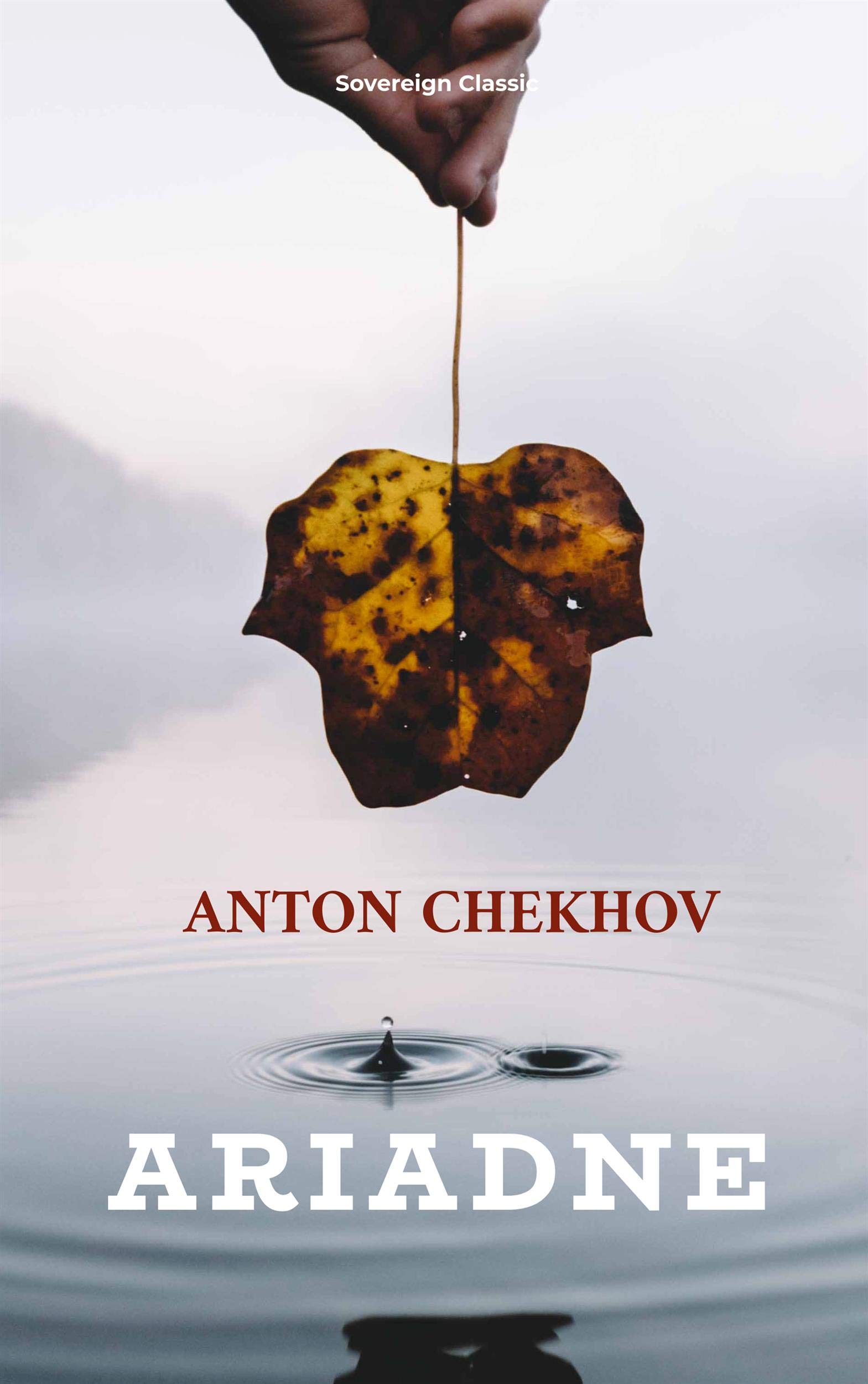 Ariadne (Translated) book cover