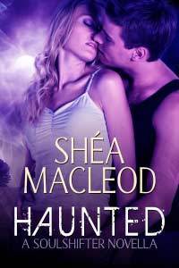 Soulshifter book cover 2
