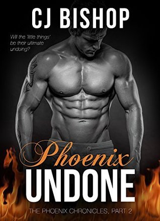 The Phoenix Chronicles book cover 2