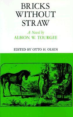 Bricks Without Straw book cover