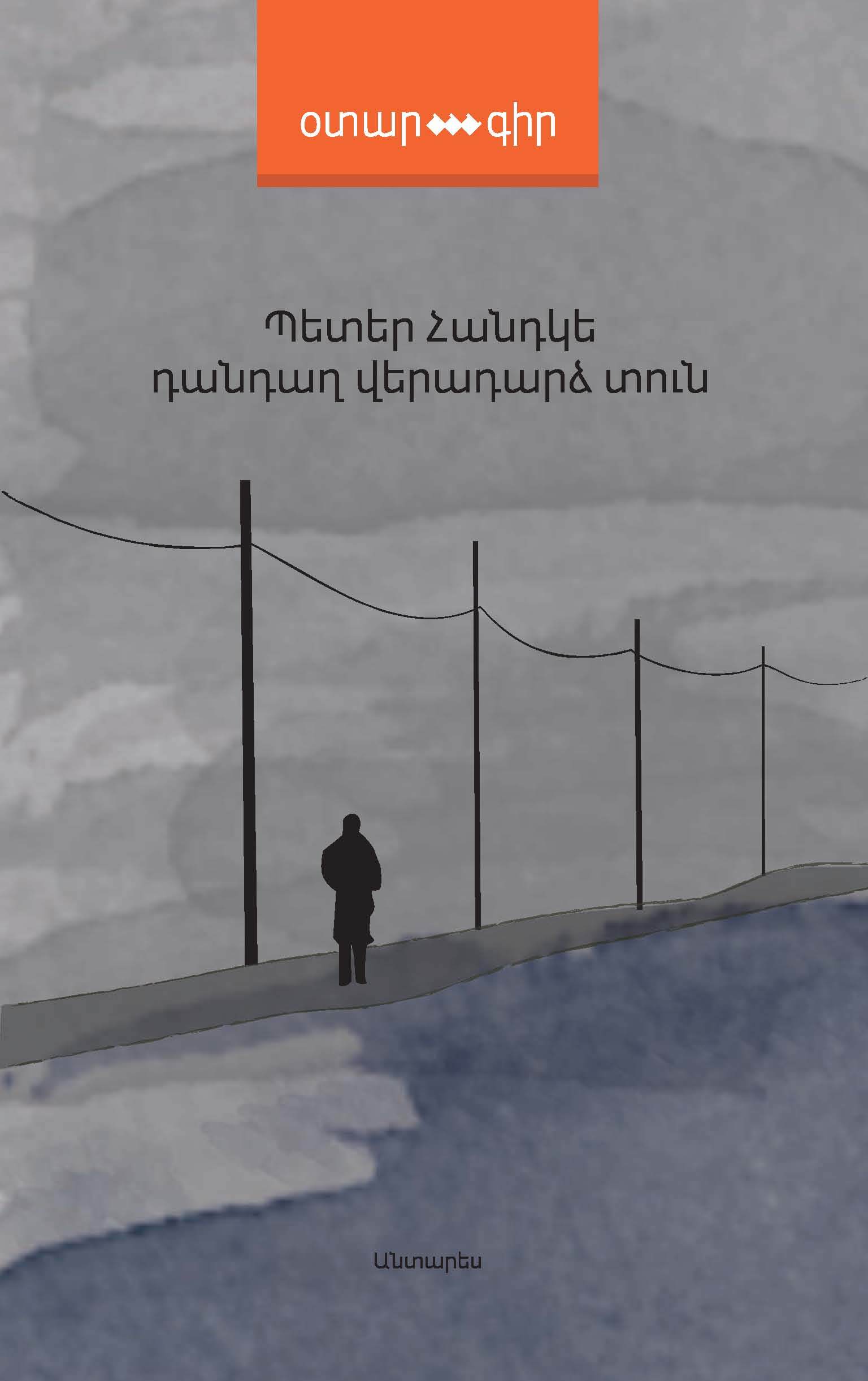 Դանդաղ վերադարձ տուն book cover
