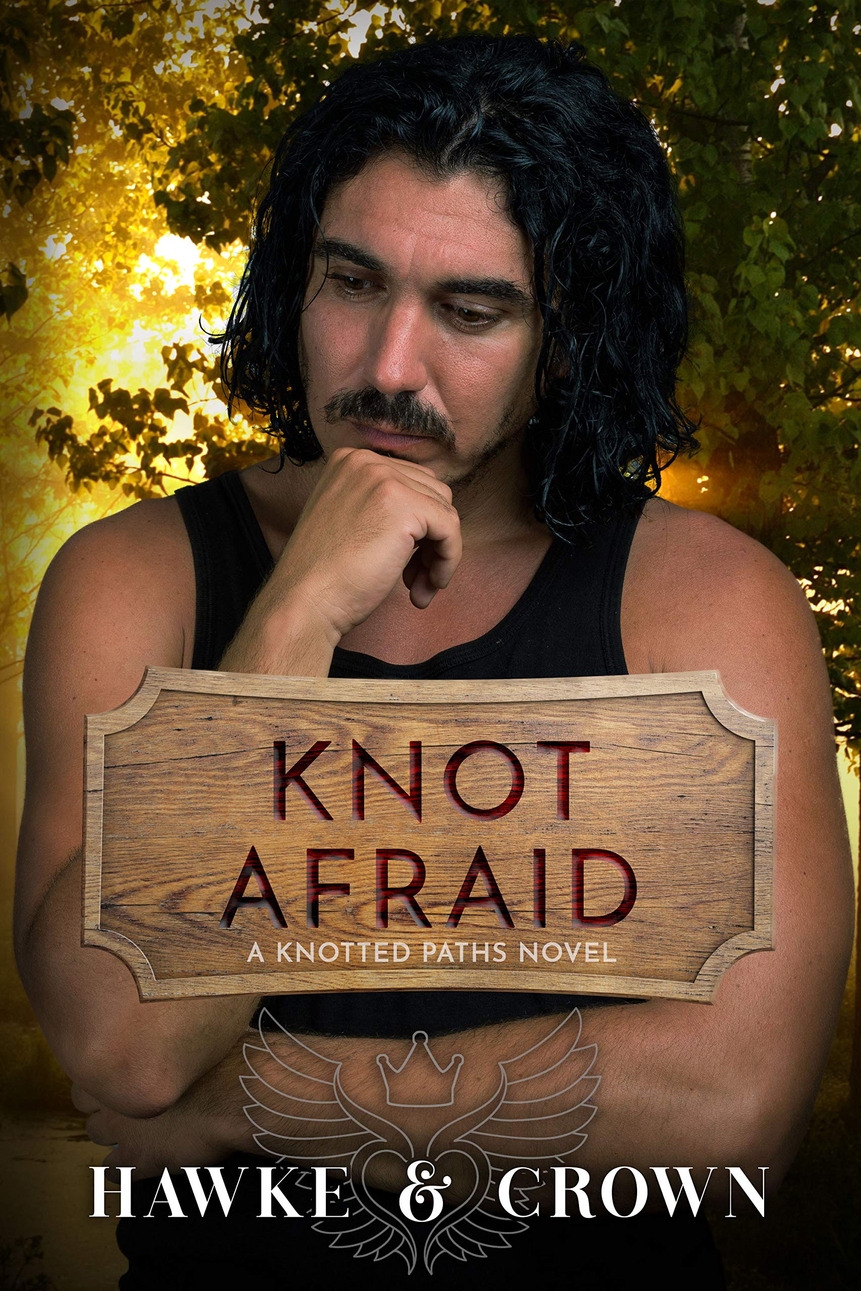 Knotted Paths book cover 2