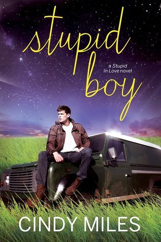 Stupid in Love book cover 2