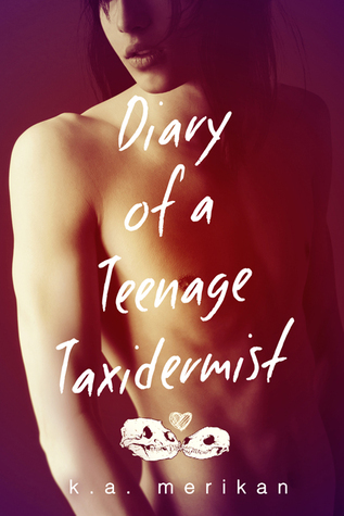 Not Like Other Boys book cover