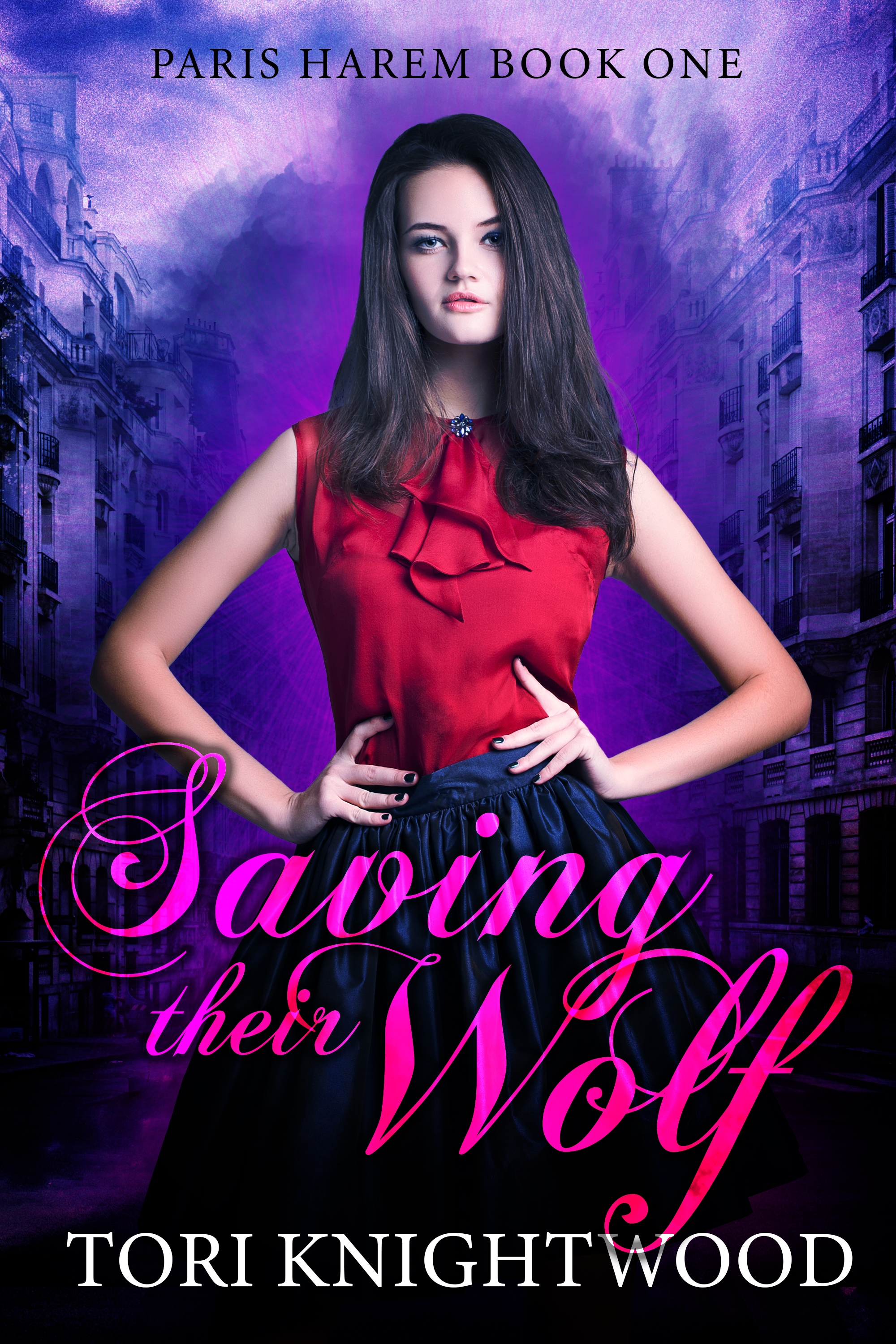 Paris Harem book cover 1