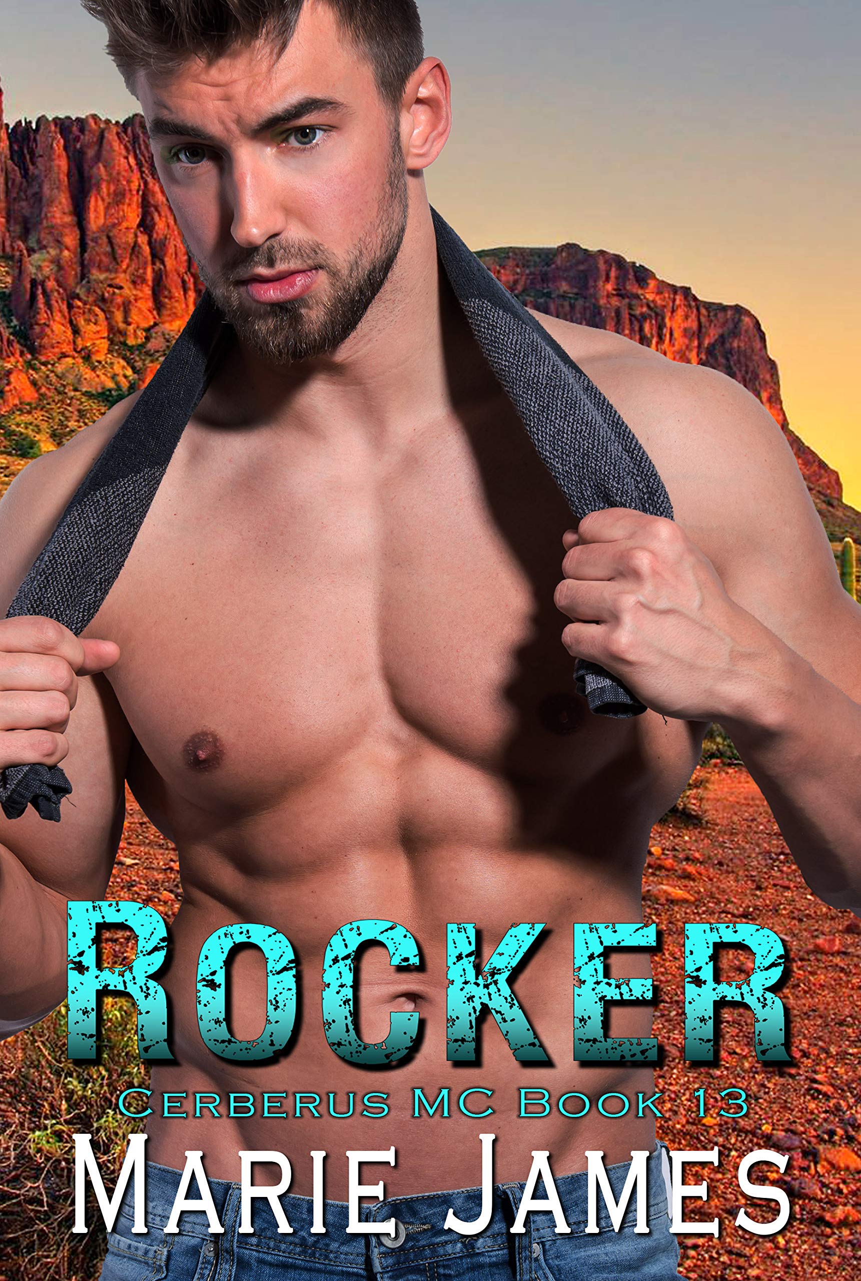 Rocker book cover