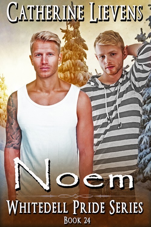 Noem book cover