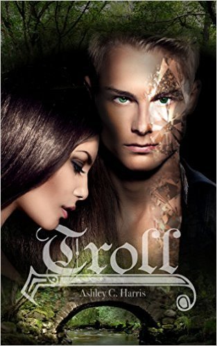 Troll book cover 1