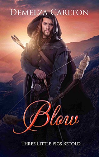 Blow book cover