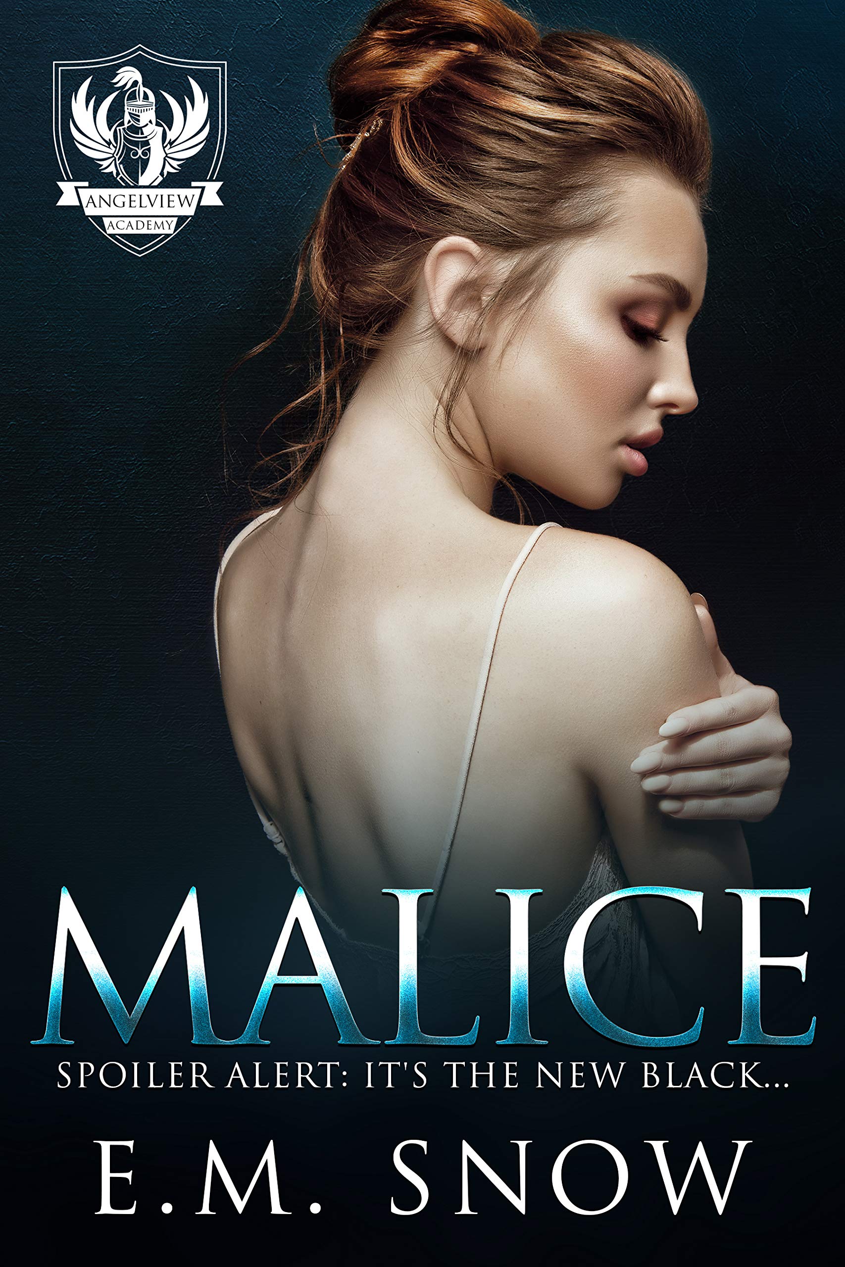 Angelview Academy book cover 2