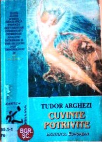 Cuvinte potrivite book cover