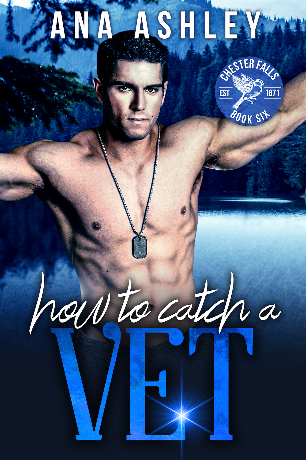 How to Catch a Vet book cover