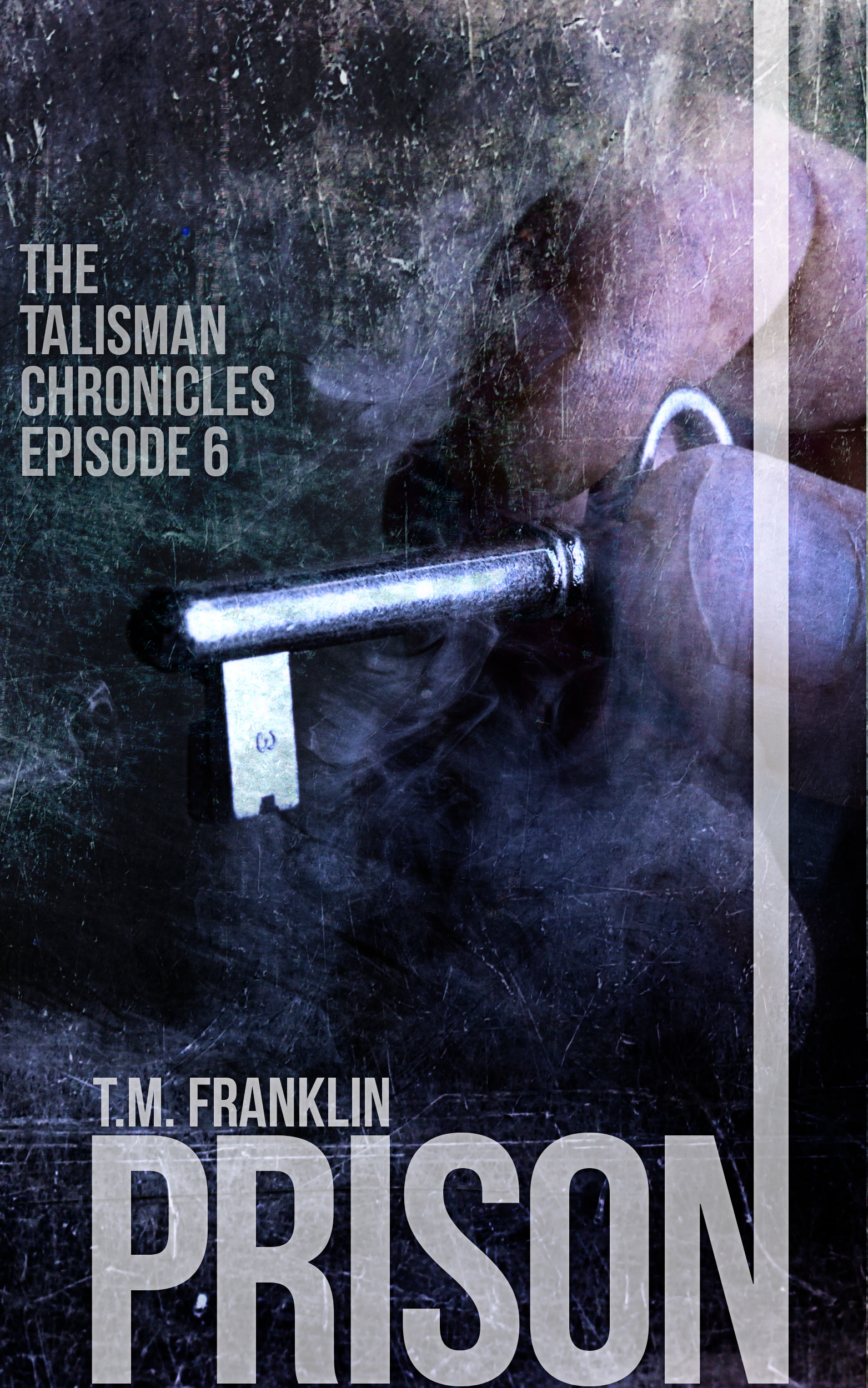Prison book cover