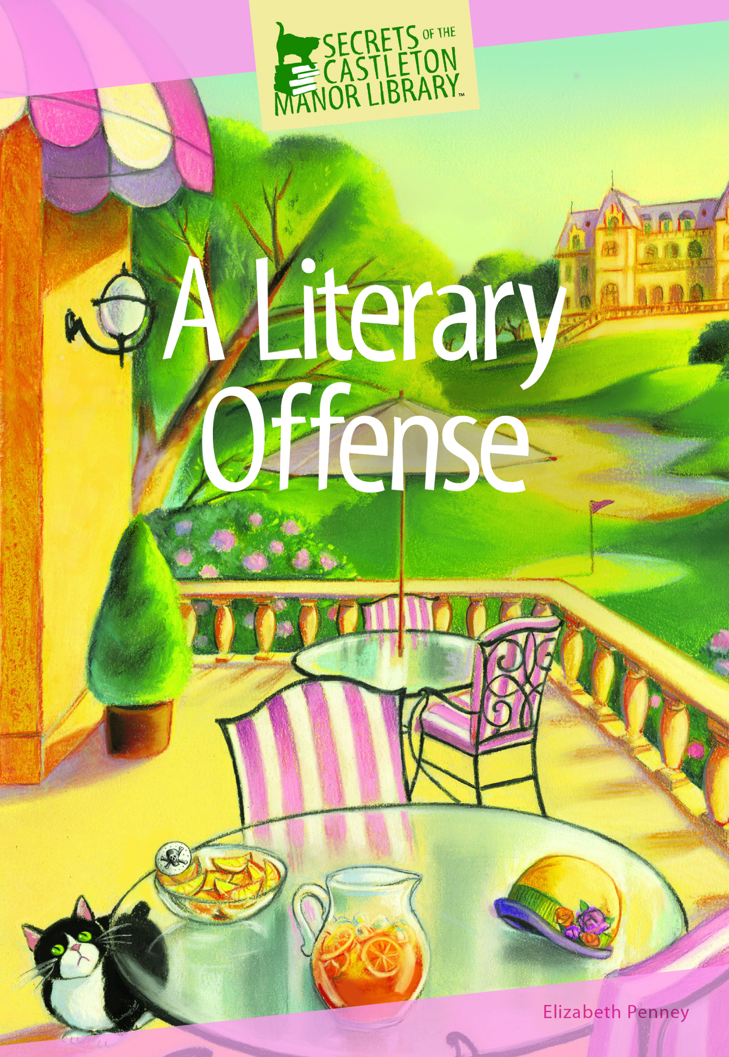 A Literary Offense book cover