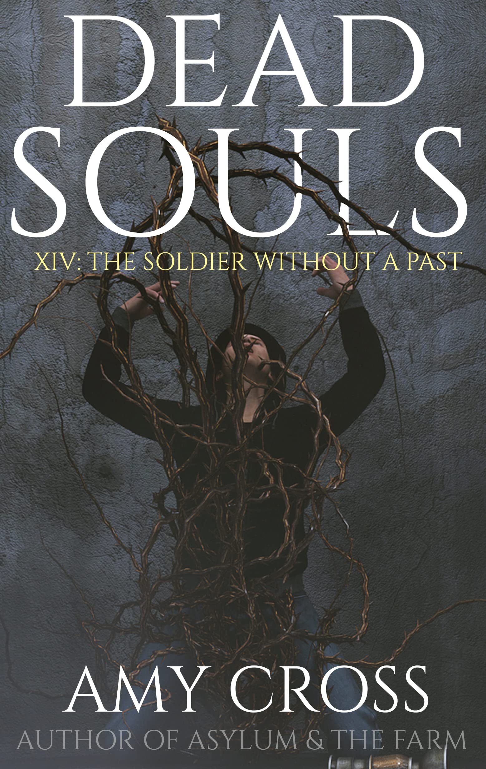 The Soldier Without a Past book cover