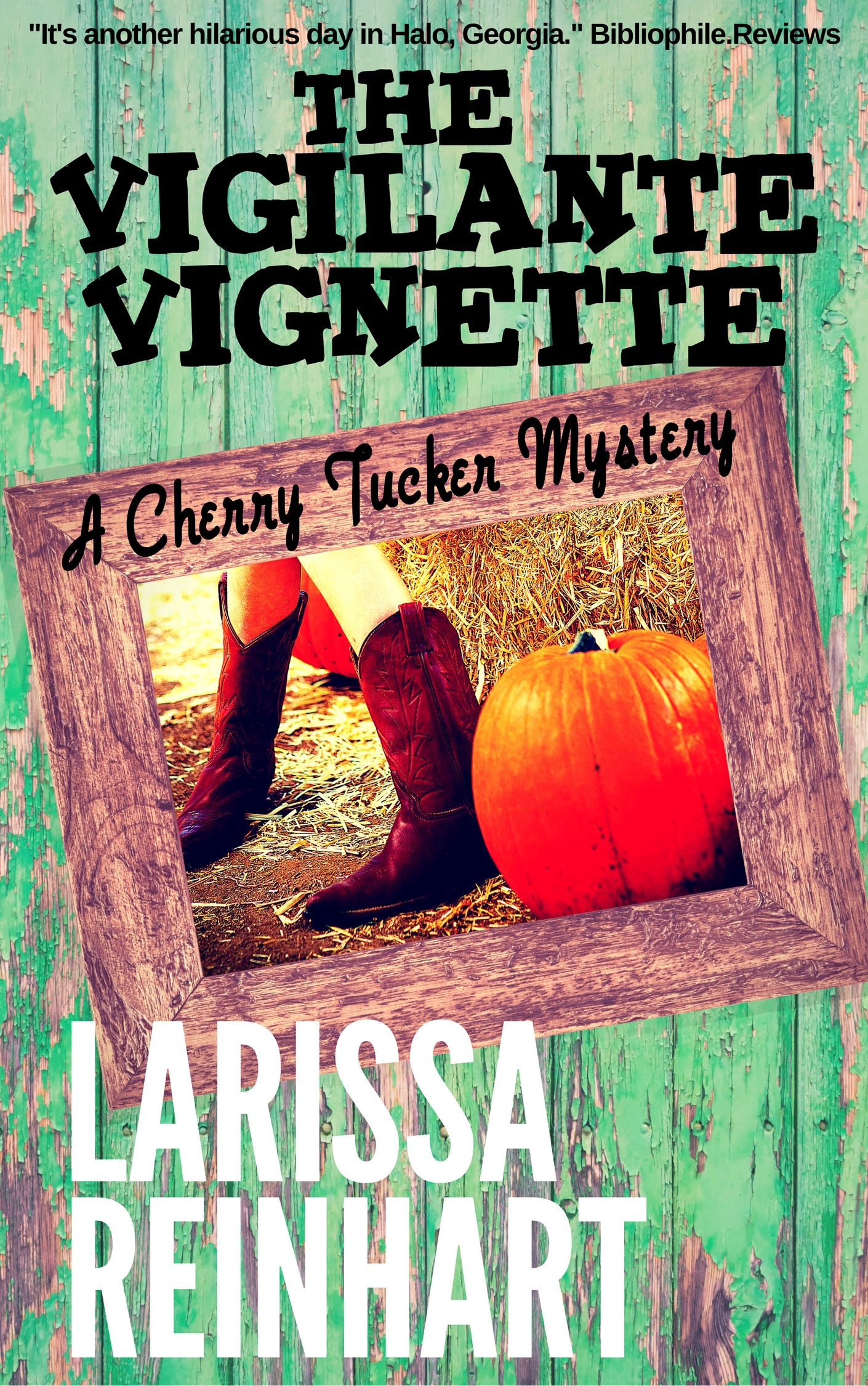 The Vigilante Vignette book cover