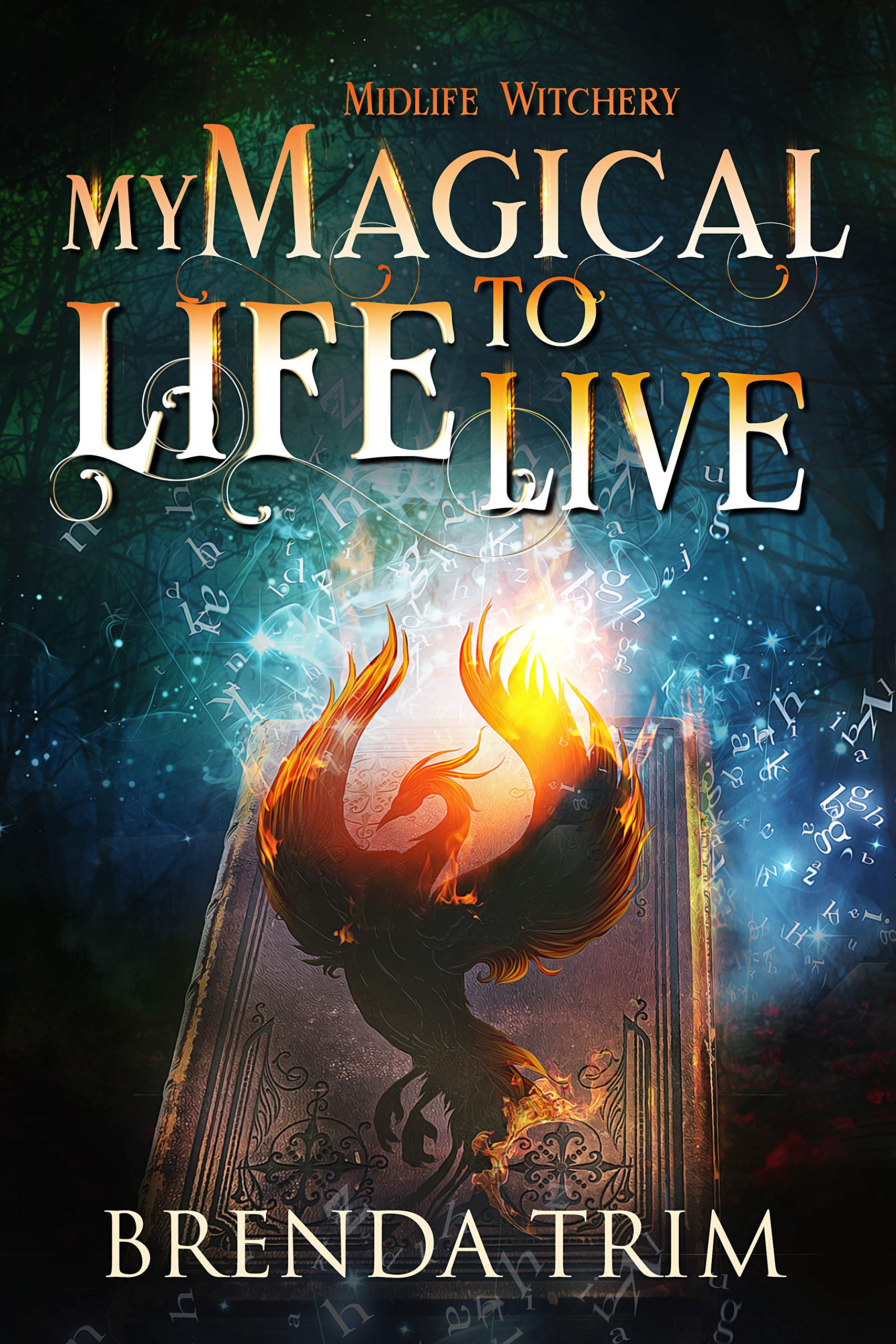 My Magical Life to Live book cover