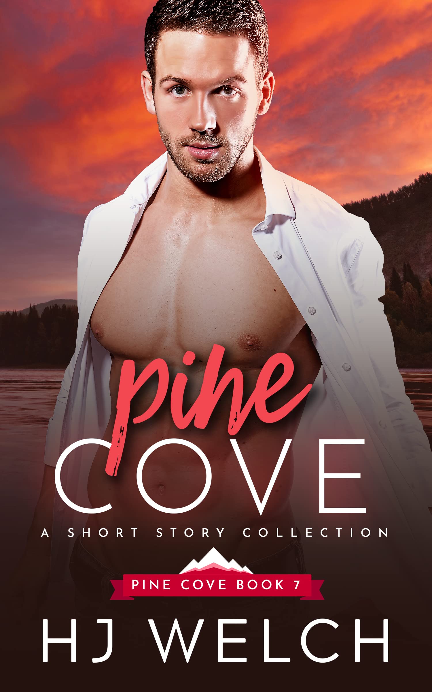 Pine Cove book cover