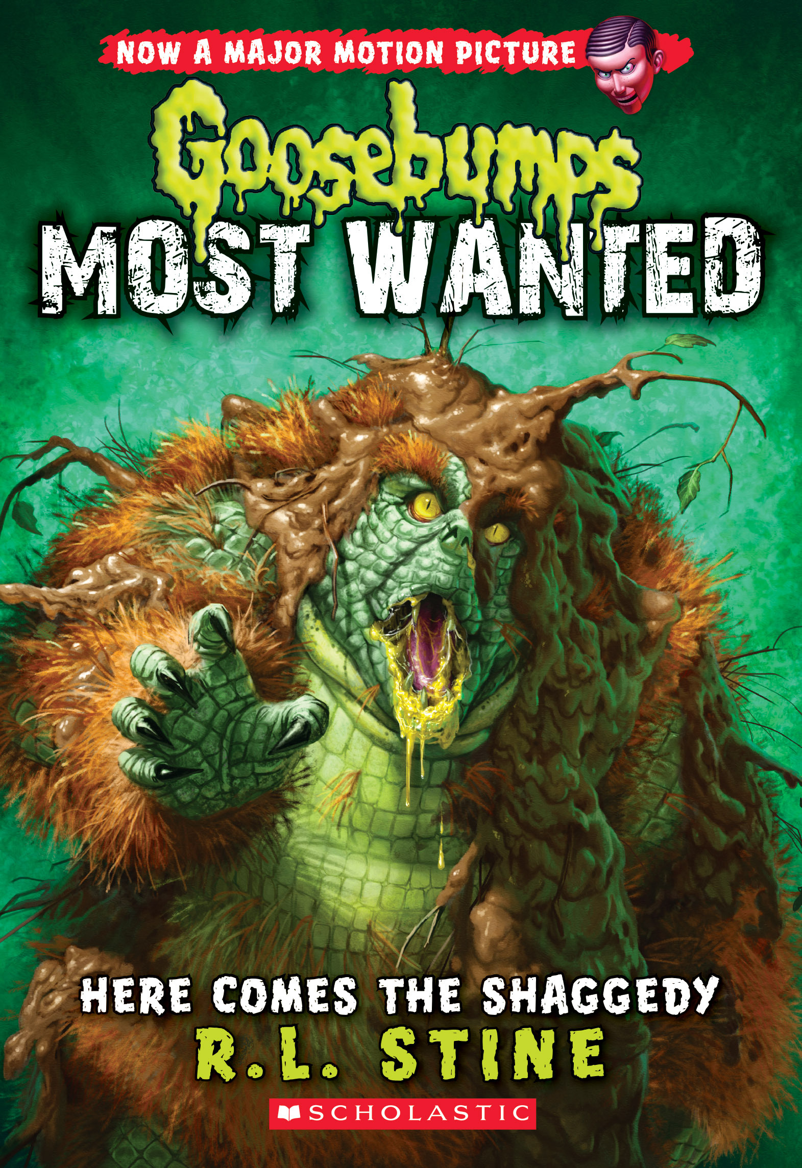Here Comes the Shaggedy book cover