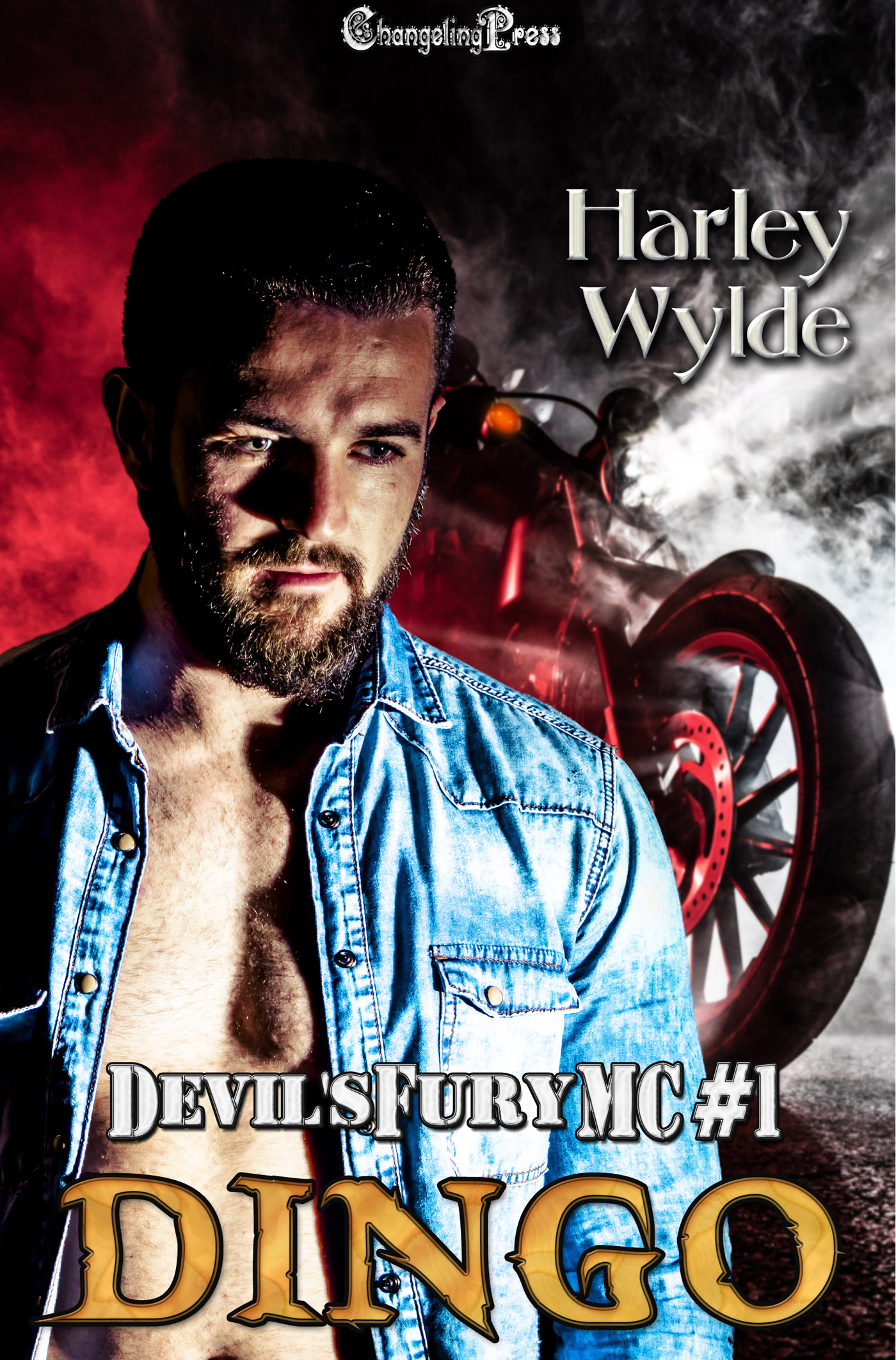 Devil's Fury MC book cover 1