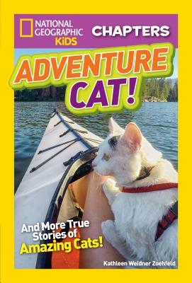 Adventure Cat! book cover