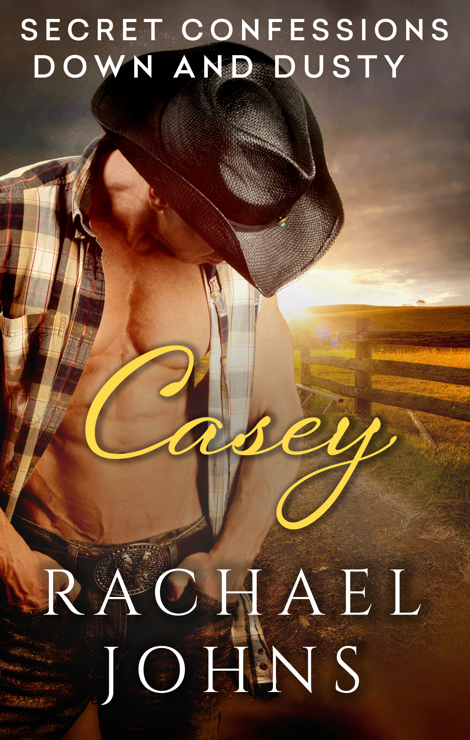 Secret Confessions: Down & Dusty book cover 1