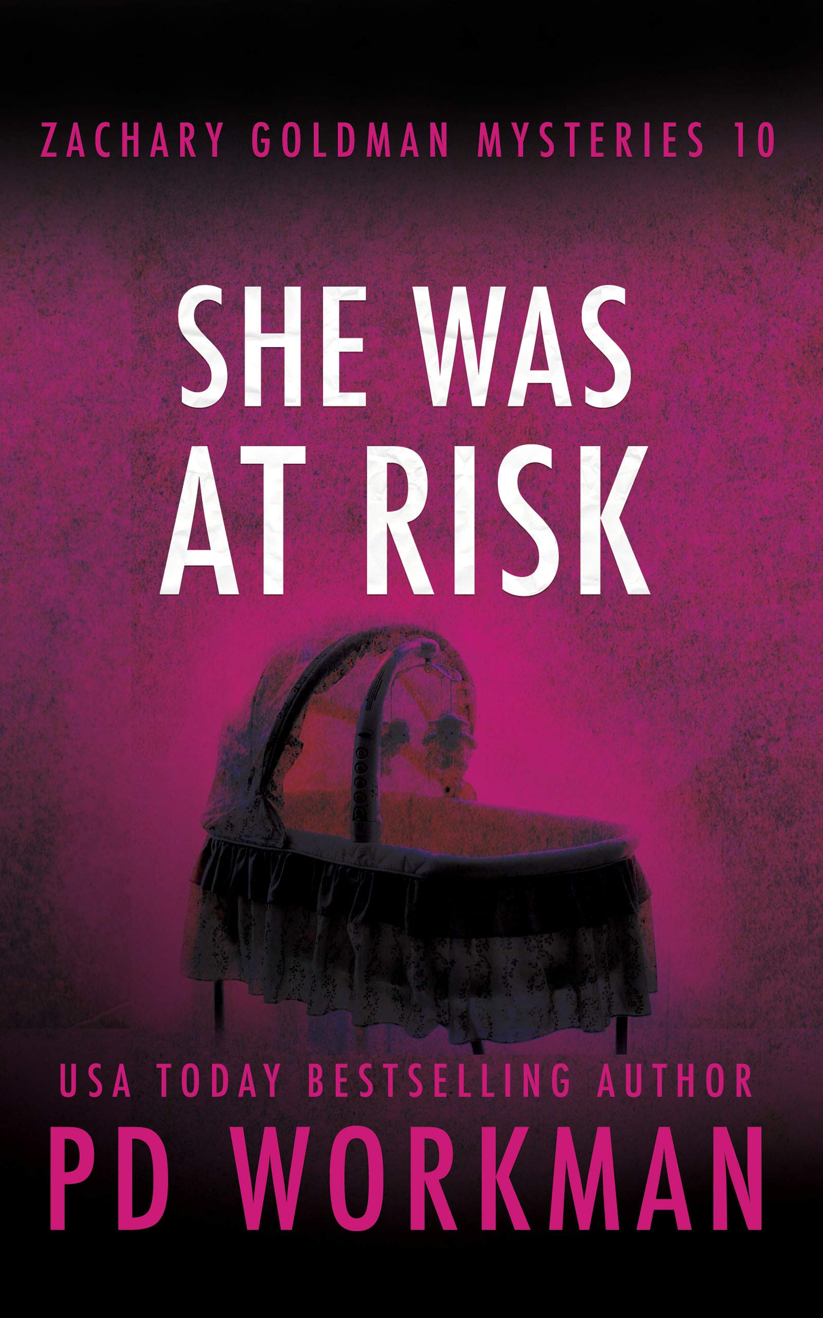 She Was at Risk (Zachary Goldman Mysteries book cover