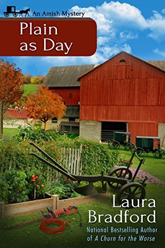 Plain as Day book cover