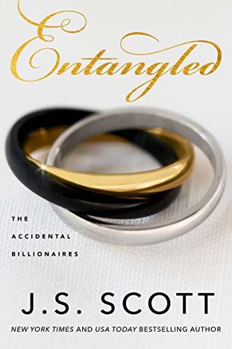 The Accidental Billionaires book cover 2