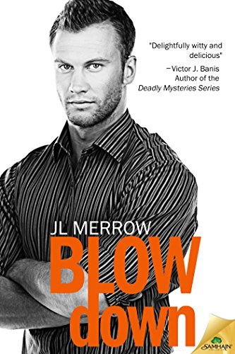 Blow Down book cover