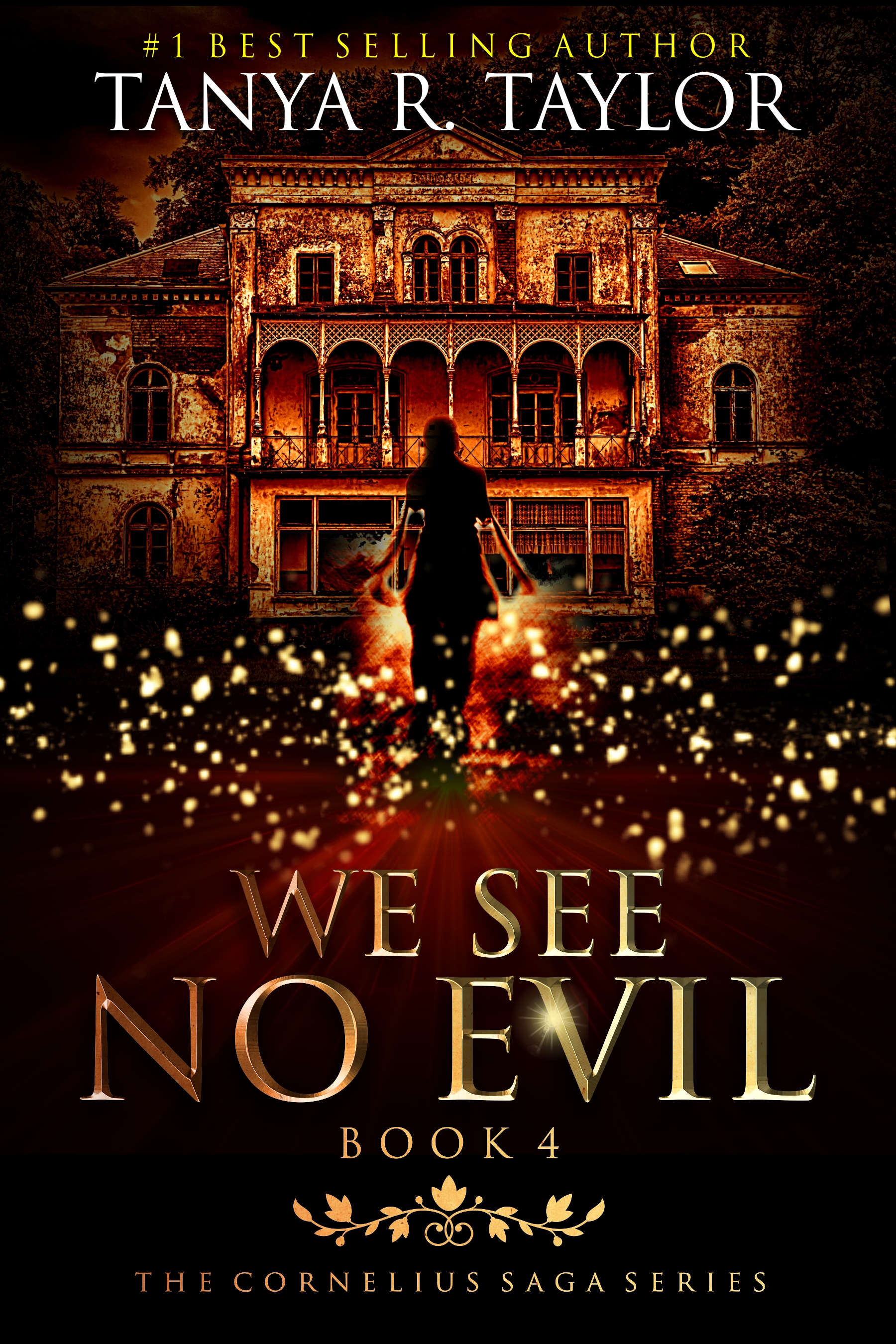 We See No Evil book cover