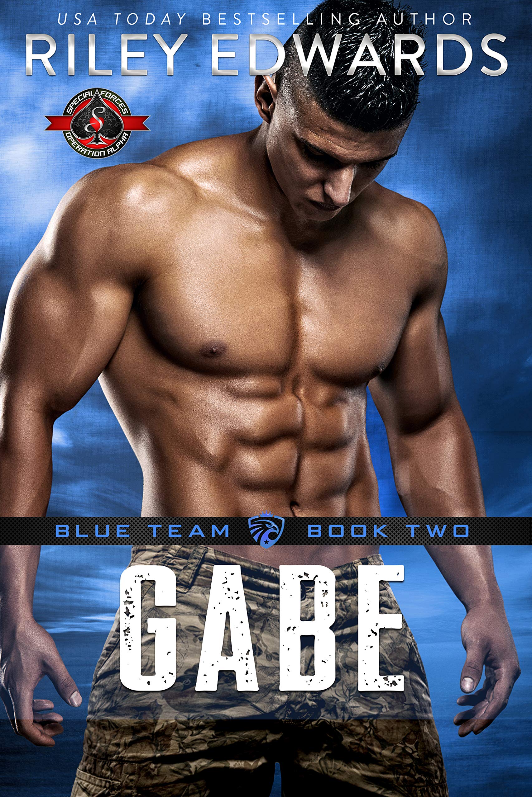 Blue Team book cover 2