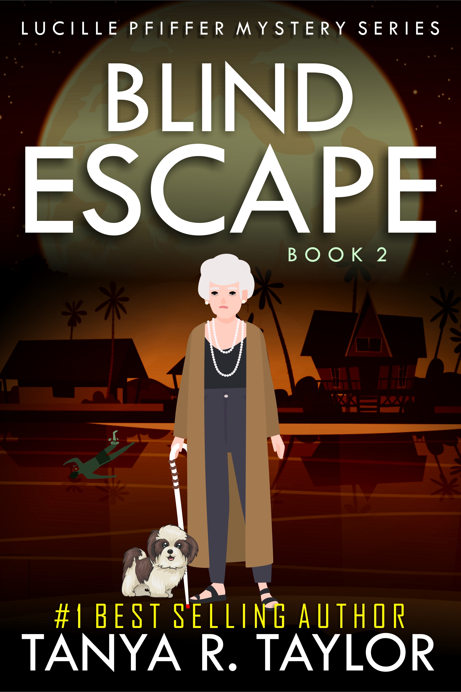 Lucille Pfiffer book cover 2