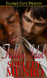 Fallen Idol book cover