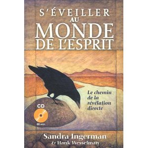 Egyptian Magic book cover