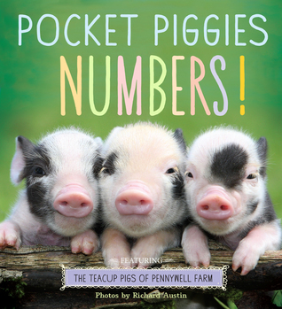 Pocket Piggies Numbers! book cover