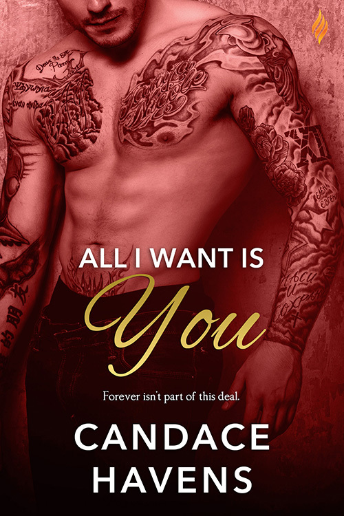 All I Want Is You book cover
