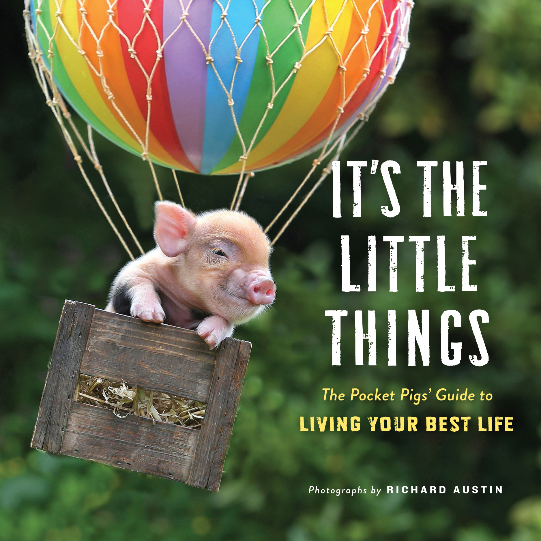 It's the Little Things book cover