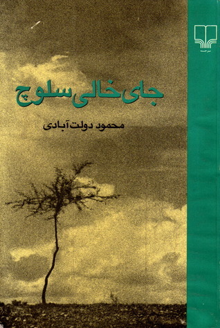 Missing Soluch book cover