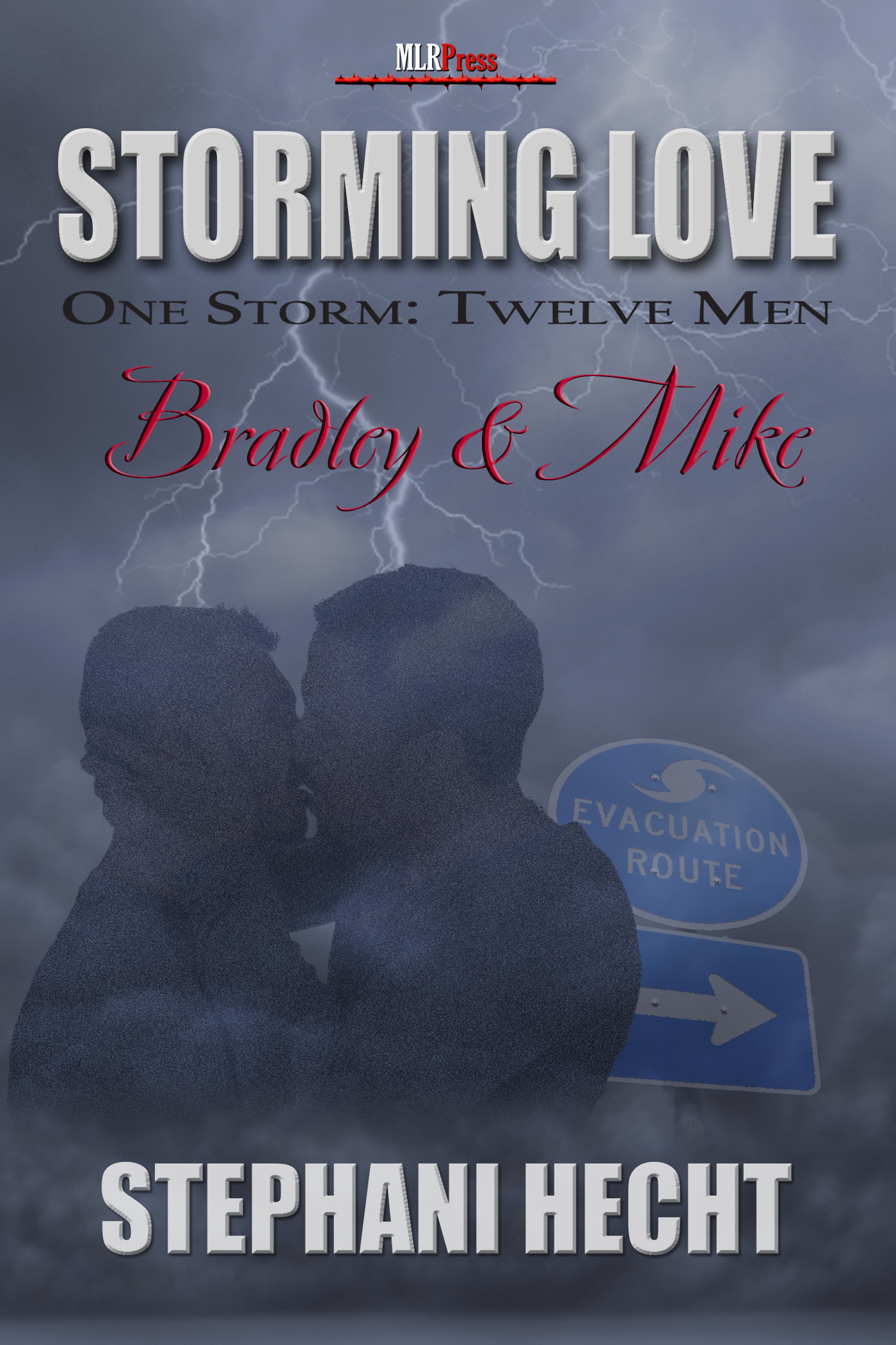 Storming Love: One Storm, Twelve Men book cover 2