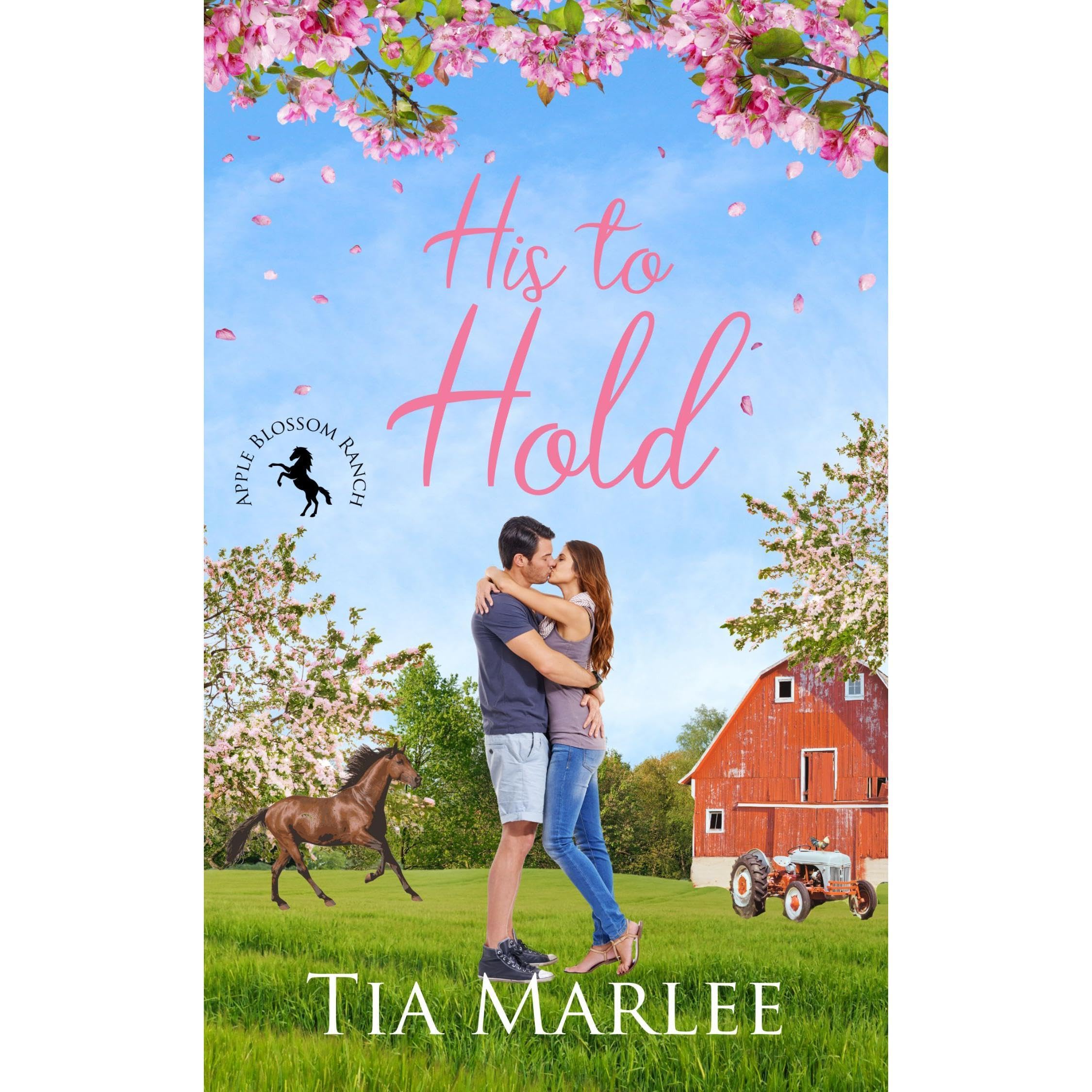 His to Hold book cover