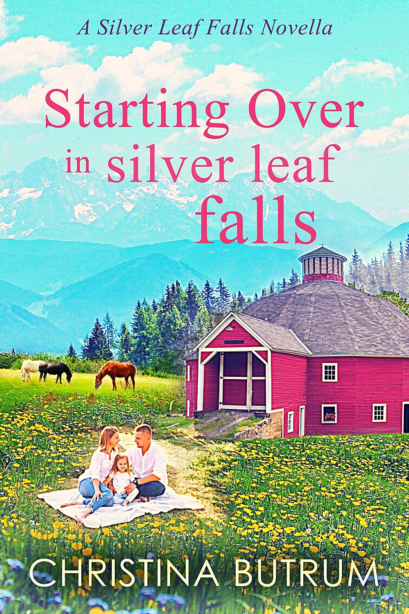 Silver Leaf Falls book cover 3