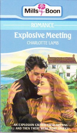 Explosive Meeting book cover