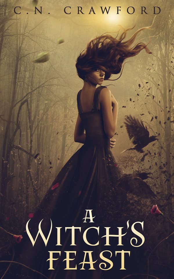 Memento Mori book cover 2